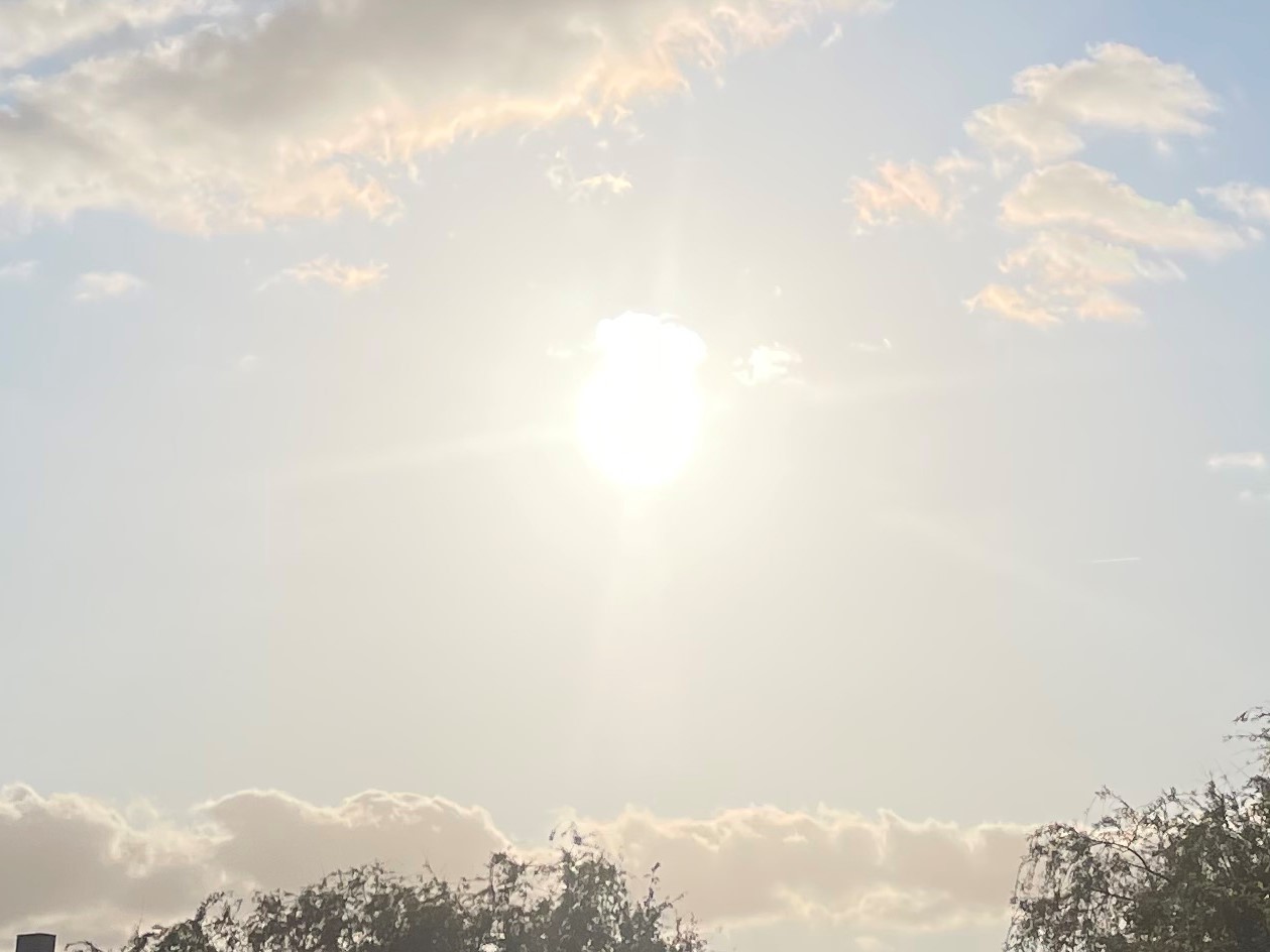 zonlicht